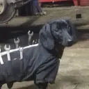 badconfig