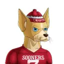 Crypto Sooners