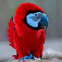 jackygu.eth