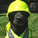MaxPintchouk
