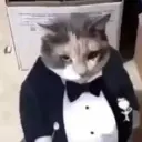 MilfoilMillions