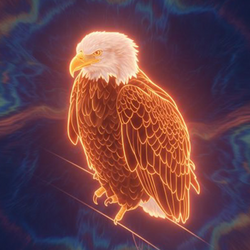 Aura Farming Eagle