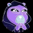 beraxbt