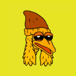 Bird Dog
