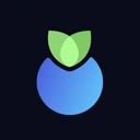 Blueberry Protocol