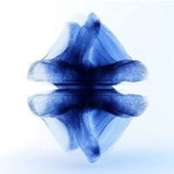 Cedra Network