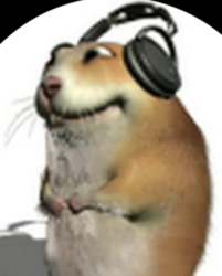 chomik