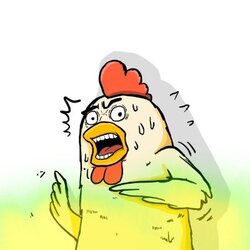 COCK