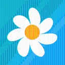 Daisy Pay