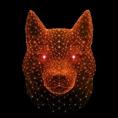 DogDataBTC