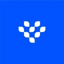 Interest Protocol