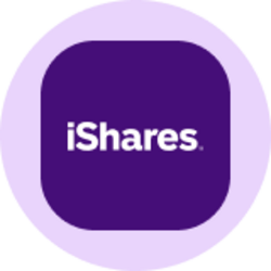 iShares MSCI EAFE ETF (Ondo Tokenized ETF)