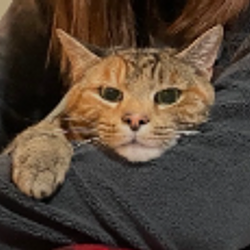 Justice for Marlee