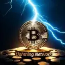 Lightning Network