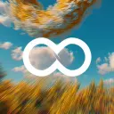 Looping Collective