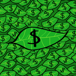 Monkey Currency