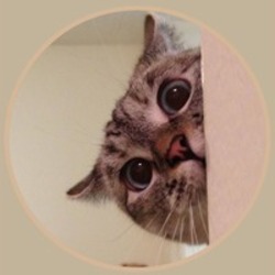 NALA