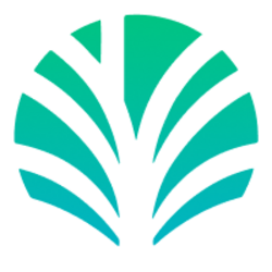 Palm Economy