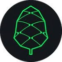 Pine Protocol