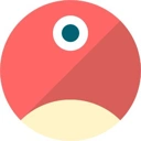 pNetwork
