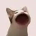 Popcat