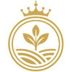 RAI Token