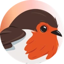 rotki