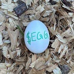 the most watched egg