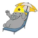 Whyanelephant