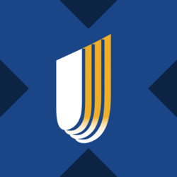 Wrapped UnitedHealth xStock